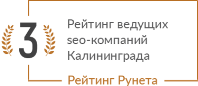 Рейтинг Рунета: 3 место в рейтинге ведущих SEO-компаний Калининграда