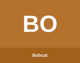 Bobcat